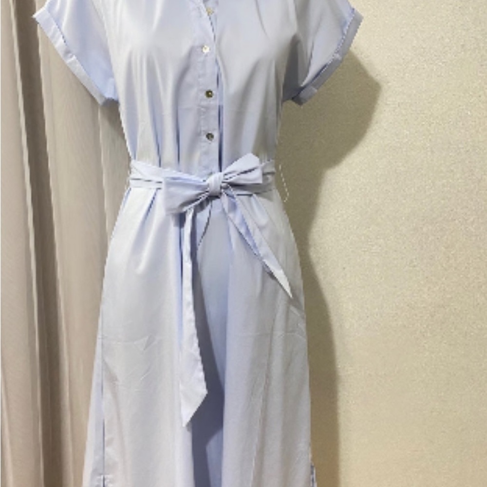 Elegant Light Blue Shirt Dress
